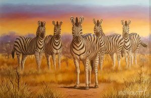 Zebra oil painting